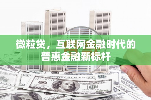 芎林微粒贷，互联网金融时代的普惠金融新标杆
