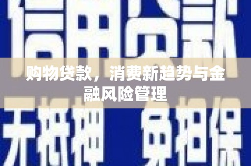 芎林购物贷款，消费新趋势与金融风险管理