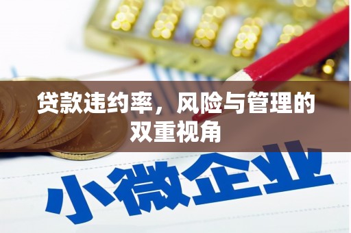 芎林贷款违约率，风险与管理的双重视角