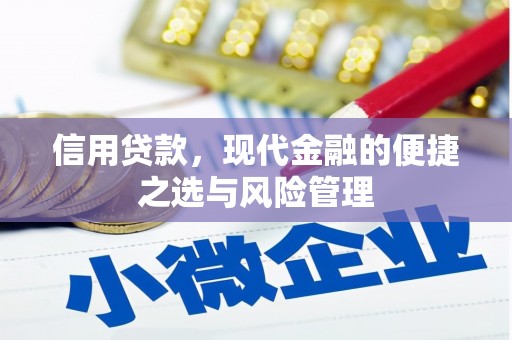 芎林信用贷款，现代金融的便捷之选与风险管理