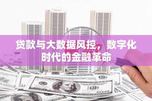 芎林贷款与大数据风控，数字化时代的金融革命