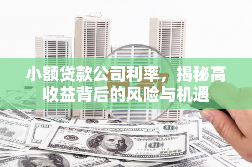 芎林小额贷款公司利率，揭秘高收益背后的风险与机遇