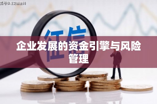 芎林企业发展的资金引擎与风险管理