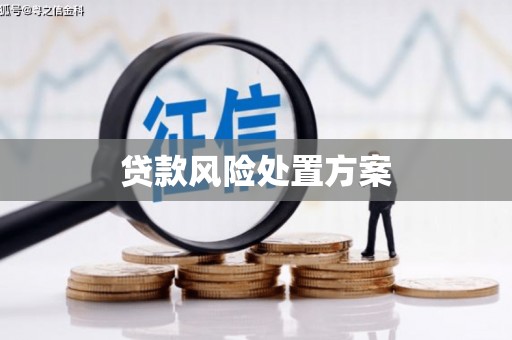 芎林贷款风险处置方案