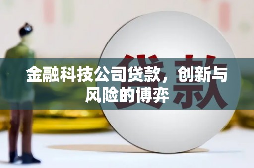 芎林金融科技公司贷款，创新与风险的博弈