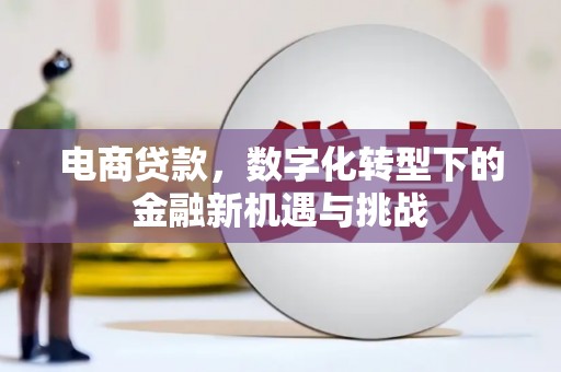 芎林电商贷款，数字化转型下的金融新机遇与挑战