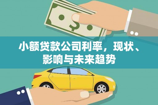芎林小额贷款公司利率，现状、影响与未来趋势