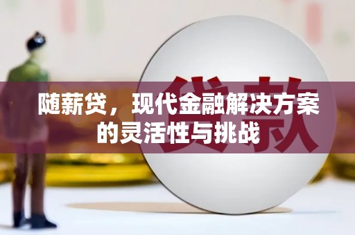 芎林随薪贷，现代金融解决方案的灵活性与挑战
