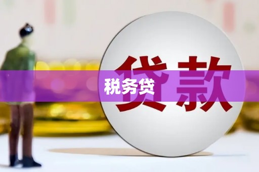 芎林税务贷