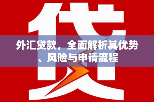 芎林外汇贷款，全面解析其优势、风险与申请流程