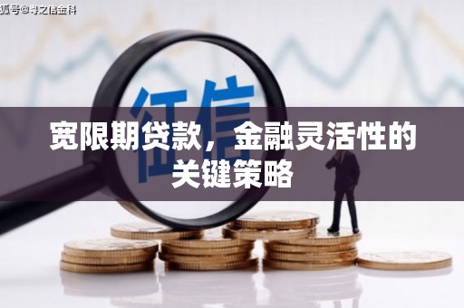 芎林宽限期贷款，金融灵活性的关键策略