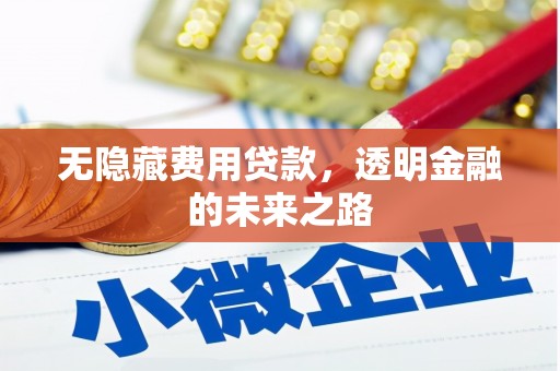 芎林无隐藏费用贷款，透明金融的未来之路