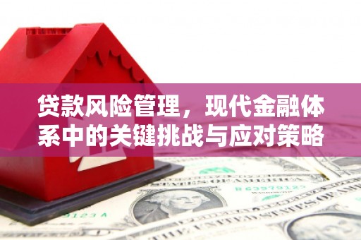 芎林贷款风险管理，现代金融体系中的关键挑战与应对策略