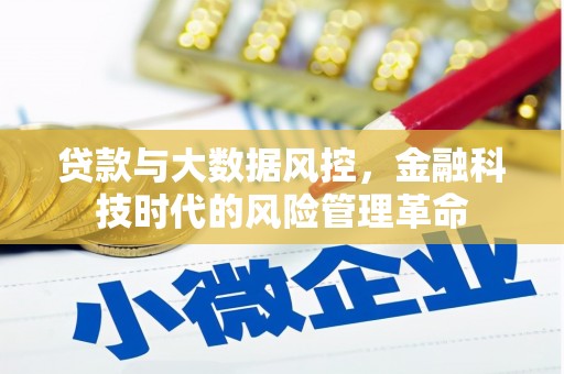 芎林贷款与大数据风控，金融科技时代的风险管理革命