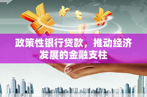 芎林政策性银行贷款，推动经济发展的金融支柱