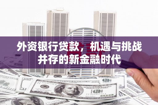 芎林外资银行贷款，机遇与挑战并存的新金融时代