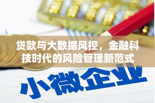 芎林贷款与大数据风控，金融科技时代的风险管理新范式