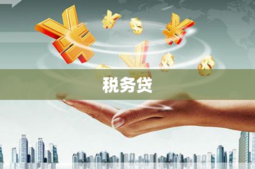 芎林税务贷