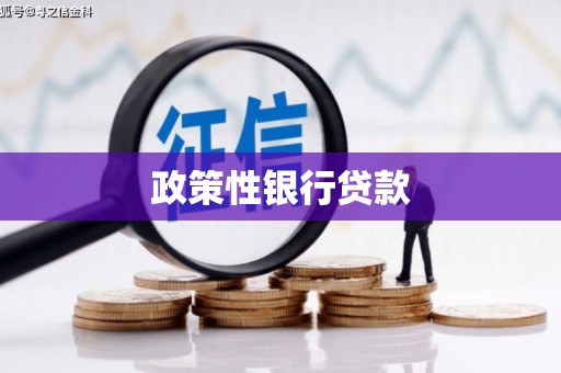 芎林政策性银行贷款