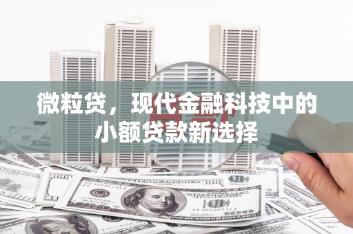 芎林微粒贷，现代金融科技中的小额贷款新选择