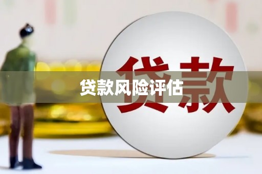 芎林贷款风险评估