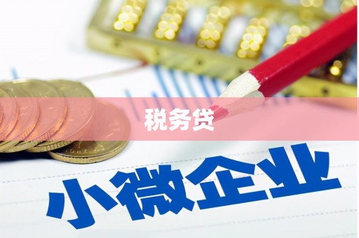 芎林税务贷