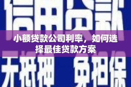 芎林小额贷款公司利率，如何选择最佳贷款方案