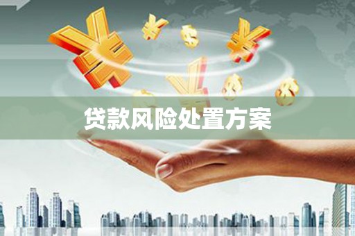 芎林贷款风险处置方案