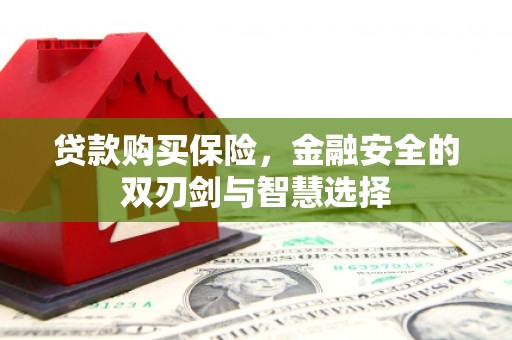 芎林贷款购买保险，金融安全的双刃剑与智慧选择