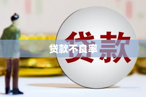 芎林贷款不良率