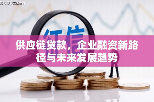 芎林供应链贷款，企业融资新路径与未来发展趋势