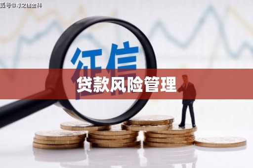 芎林贷款风险管理
