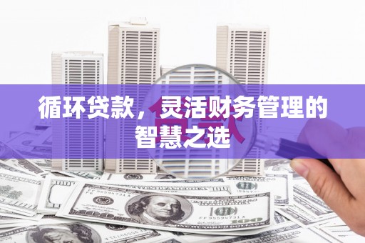 芎林循环贷款，灵活财务管理的智慧之选