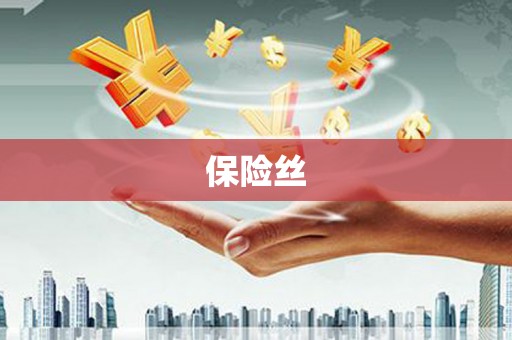 芎林保险丝