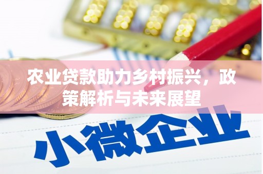 芎林农业贷款助力乡村振兴，政策解析与未来展望
