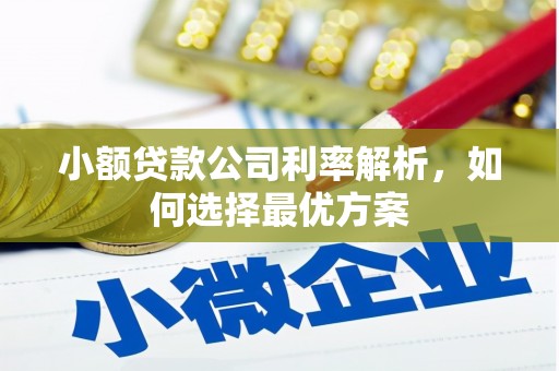 芎林小额贷款公司利率解析，如何选择最优方案