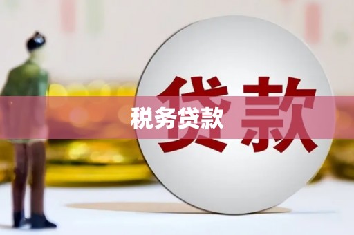 芎林税务贷款