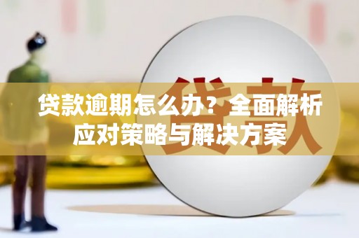 芎林贷款逾期怎么办？全面解析应对策略与解决方案