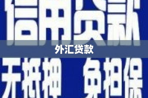 芎林外汇贷款