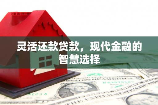 芎林灵活还款贷款，现代金融的智慧选择