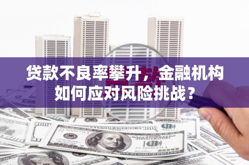 芎林贷款不良率攀升，金融机构如何应对风险挑战？