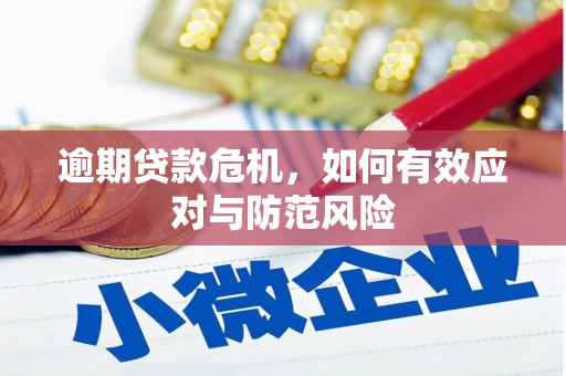 芎林逾期贷款危机，如何有效应对与防范风险