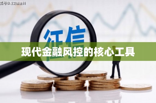芎林现代金融风控的核心工具