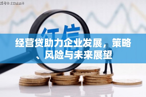 芎林经营贷助力企业发展，策略、风险与未来展望