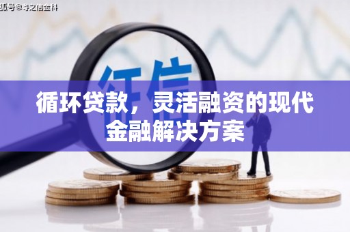 芎林循环贷款，灵活融资的现代金融解决方案