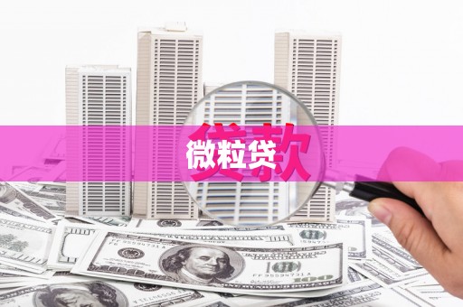 芎林微粒贷