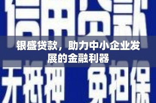 芎林银盛贷款，助力中小企业发展的金融利器