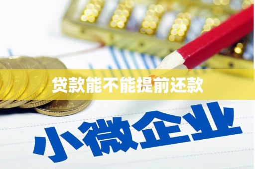 芎林贷款能不能提前还款