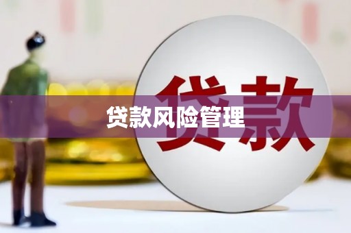 芎林贷款风险管理