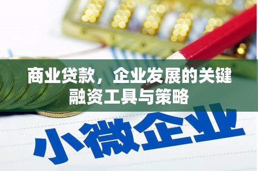 芎林商业贷款，企业发展的关键融资工具与策略